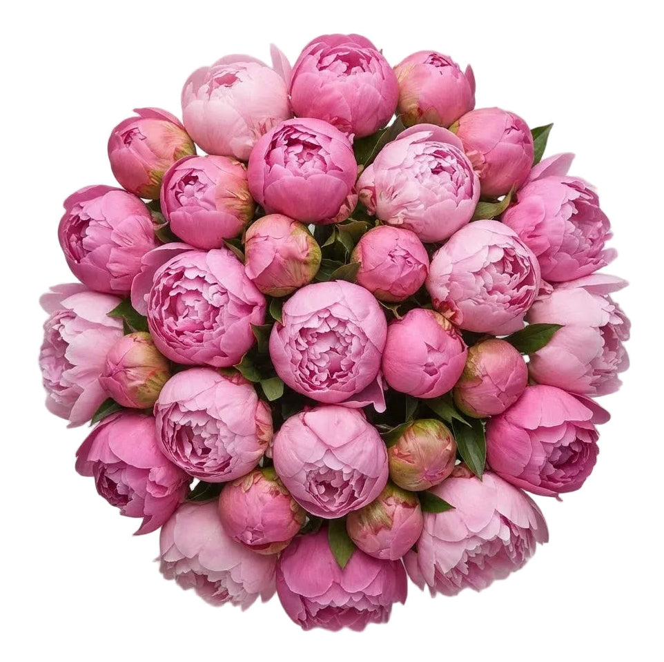 Dark Pink Peonies Bouquet
