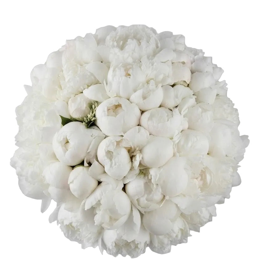 Classic White Peonies Bouquet