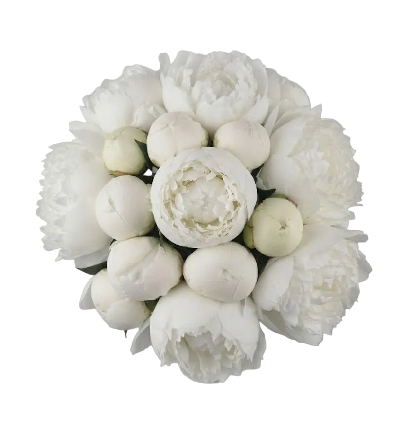 Classic White Peonies Bouquet