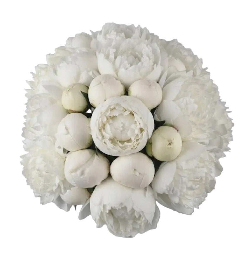 Classic White Peonies Bouquet