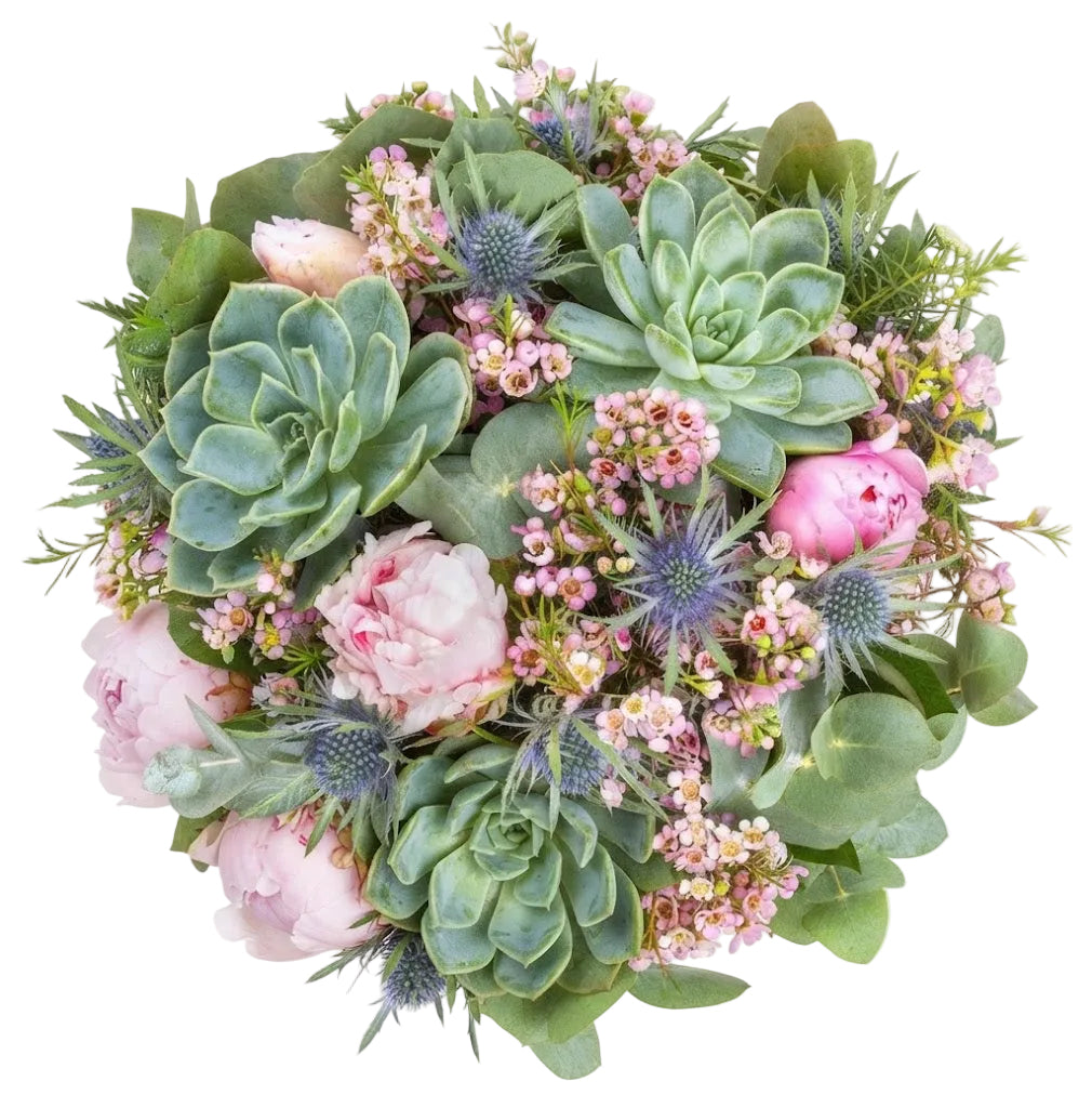 Dreamy Pink Peony and Sage Succulent Bouquet