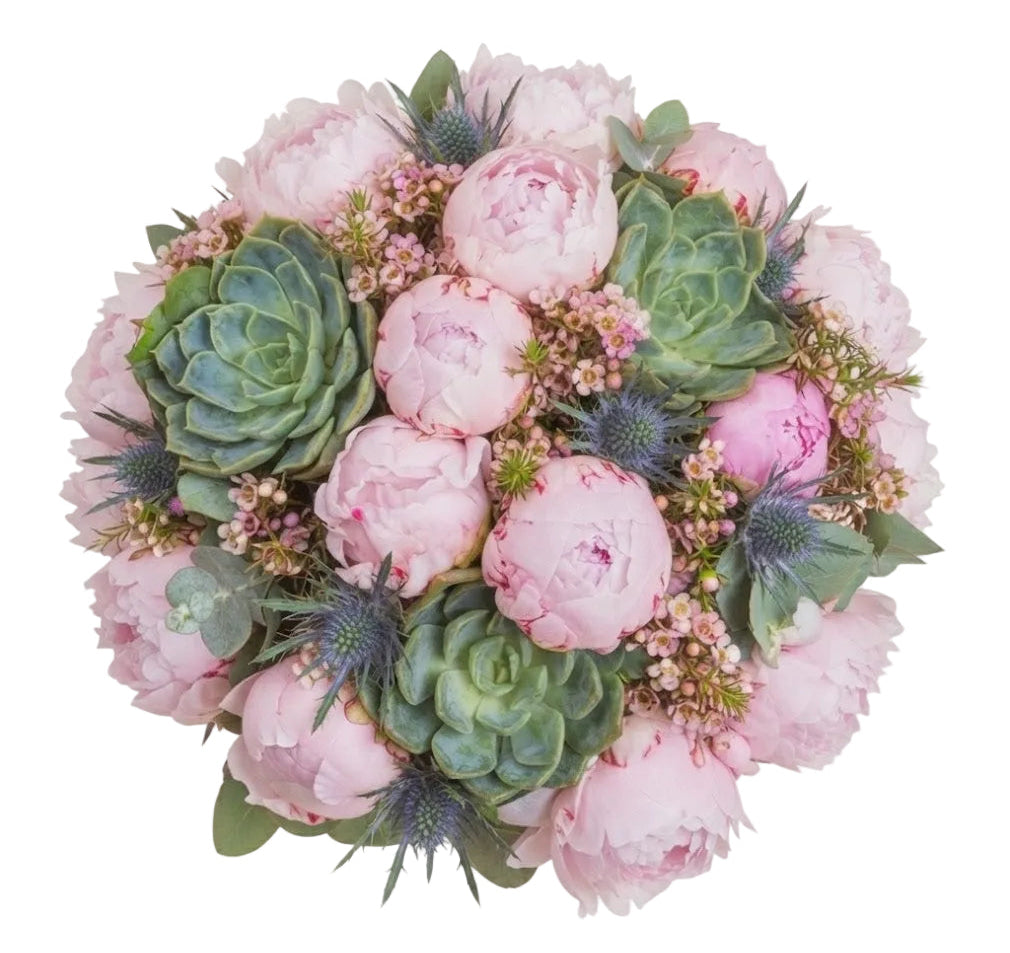 Dreamy Pink Peony and Sage Succulent Bouquet