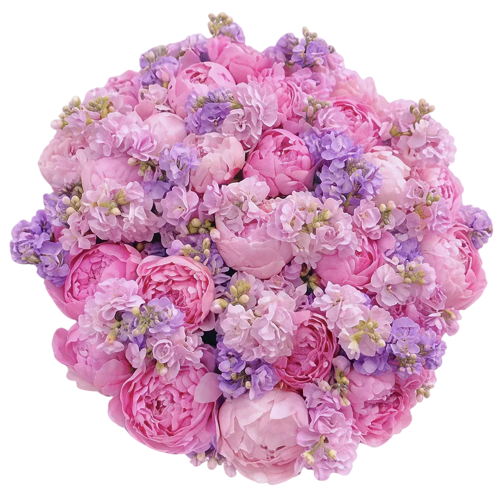 Fragrant Bouquet of Pink Peonies with Stocks