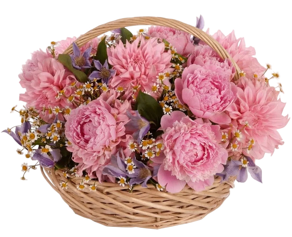 Gorgeous Basket of Peonies and Luxury Dahlia