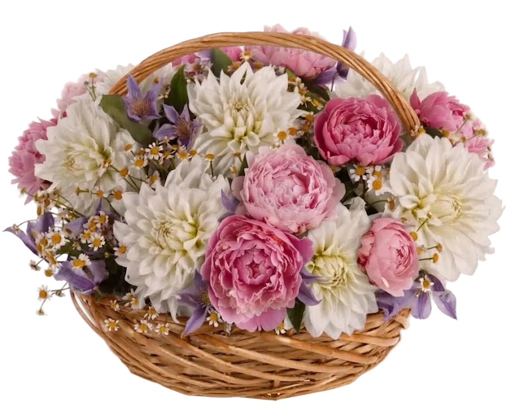 Gorgeous Basket of Peonies and Luxury Dahlia