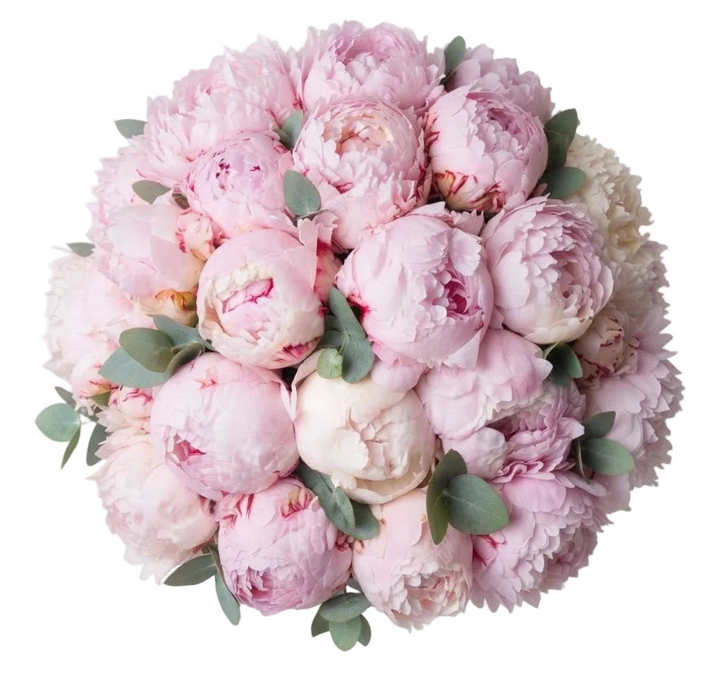 Luxury Peonies Bouquet with Eucalyptus