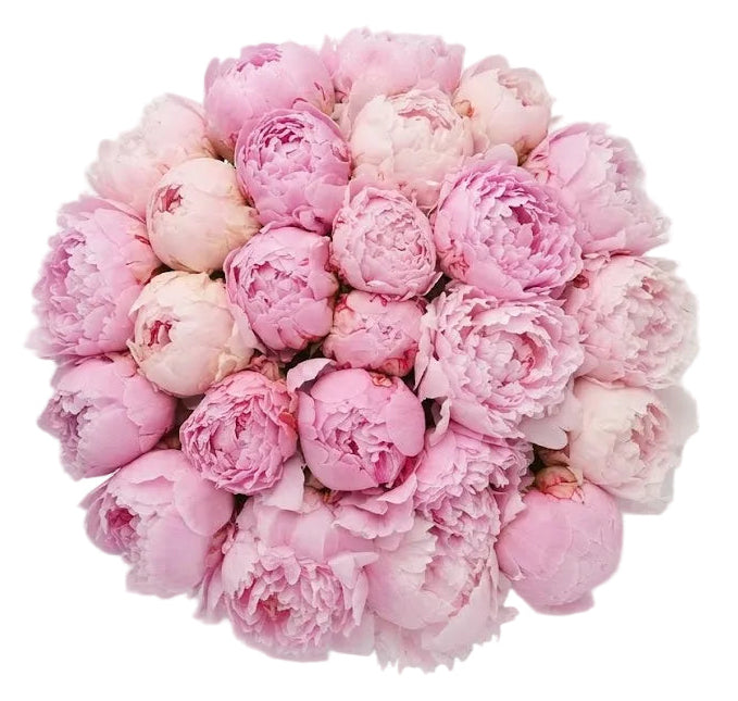 Luxury Pink Peonies Bouquet