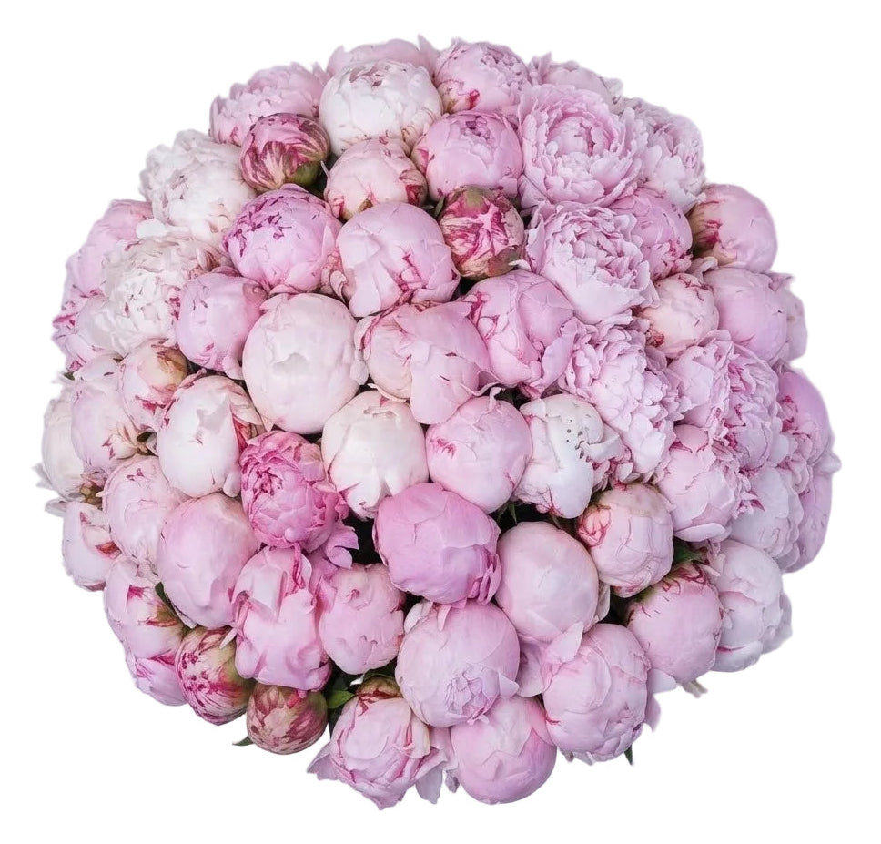 Luxury Pink Peonies Bouquet