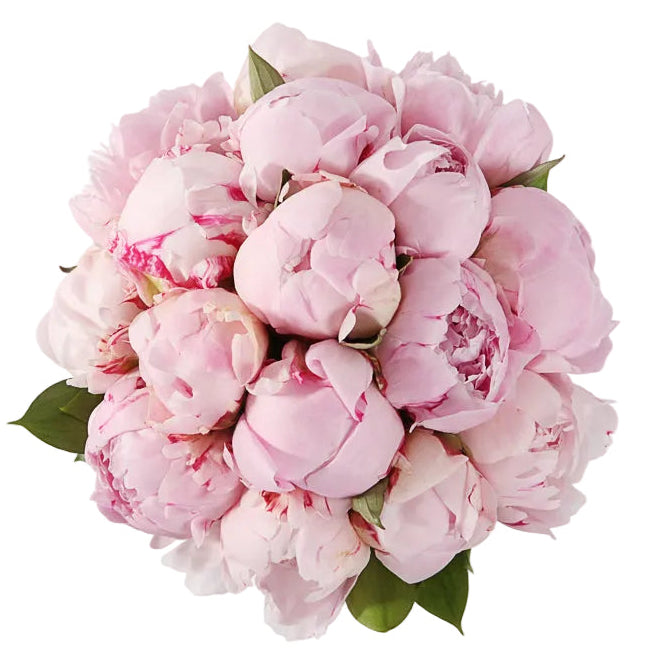 Luxury Pink Peonies Bouquet
