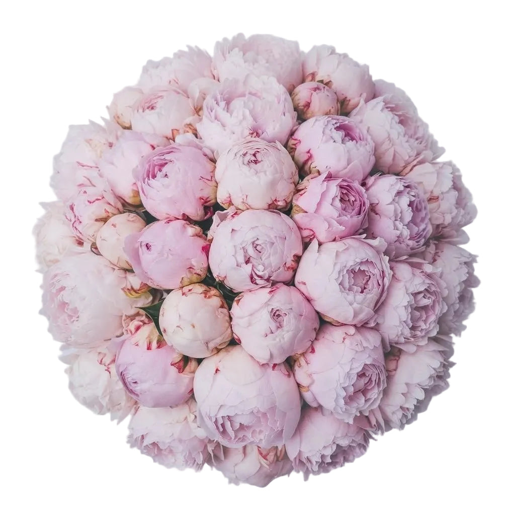 Luxury Pink Peonies Bouquet