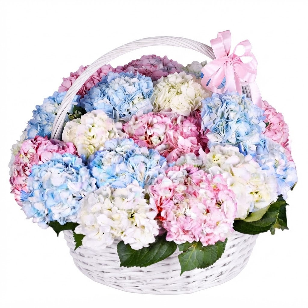 Luxury Rainbow Hydrangea Basket