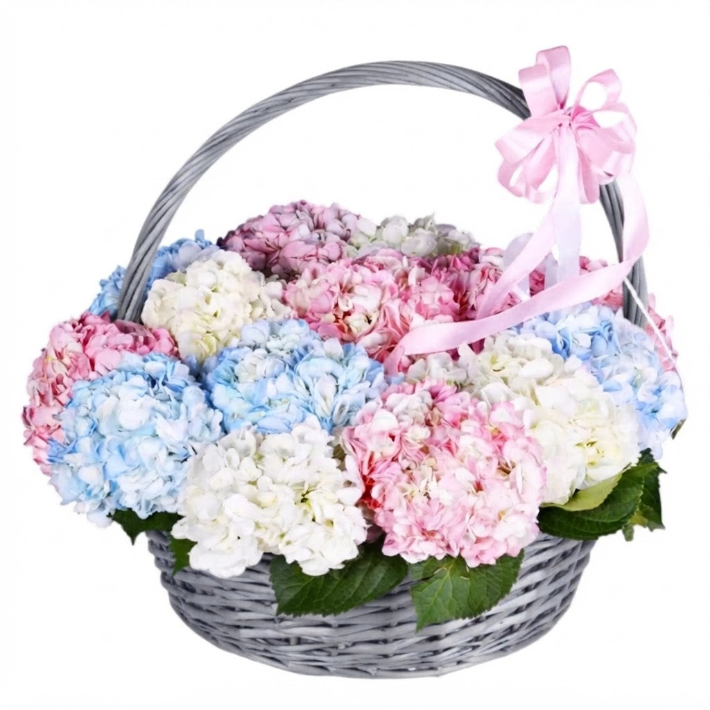 Luxury Rainbow Hydrangea Basket