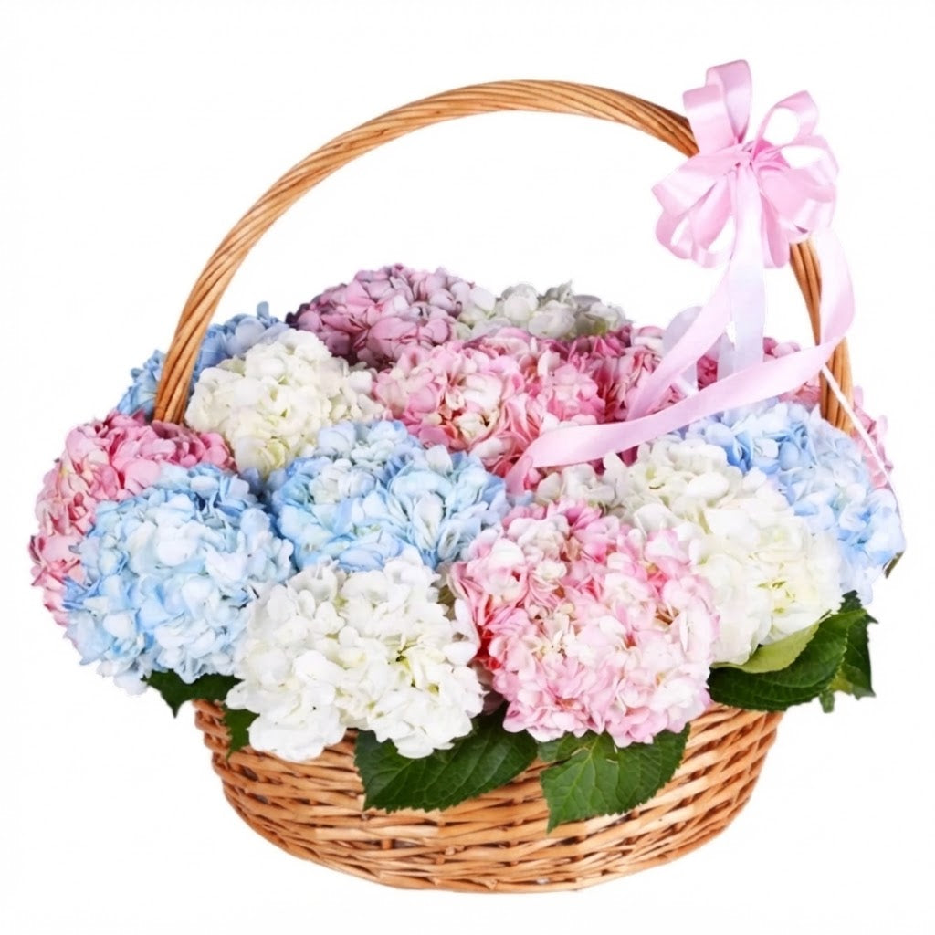 Luxury Rainbow Hydrangea Basket