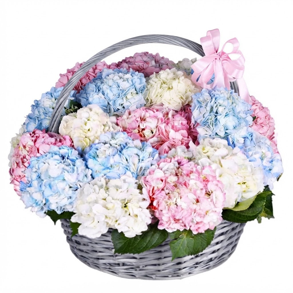 Luxury Rainbow Hydrangea Basket