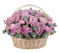 Pink Peonies with Chrysanthemum Basket