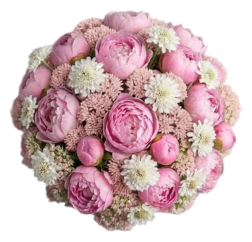 Pink Peonies with Soft Sedum and Scabiosa Bouquet