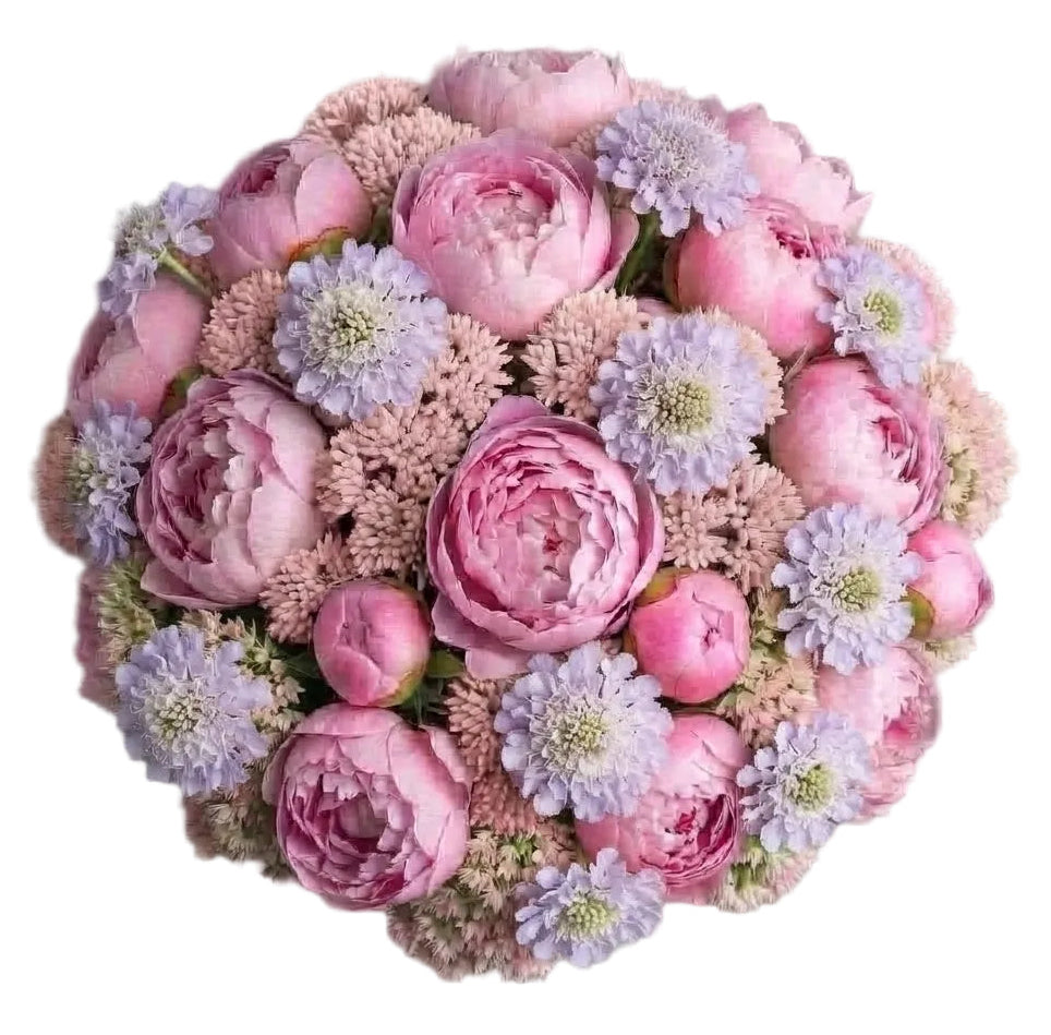 Pink Peonies with Soft Sedum and Scabiosa Bouquet