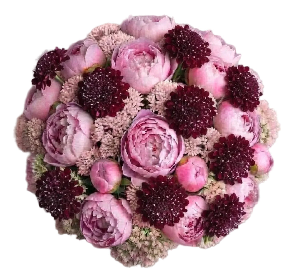 Pink Peonies with Soft Sedum and Scabiosa Bouquet