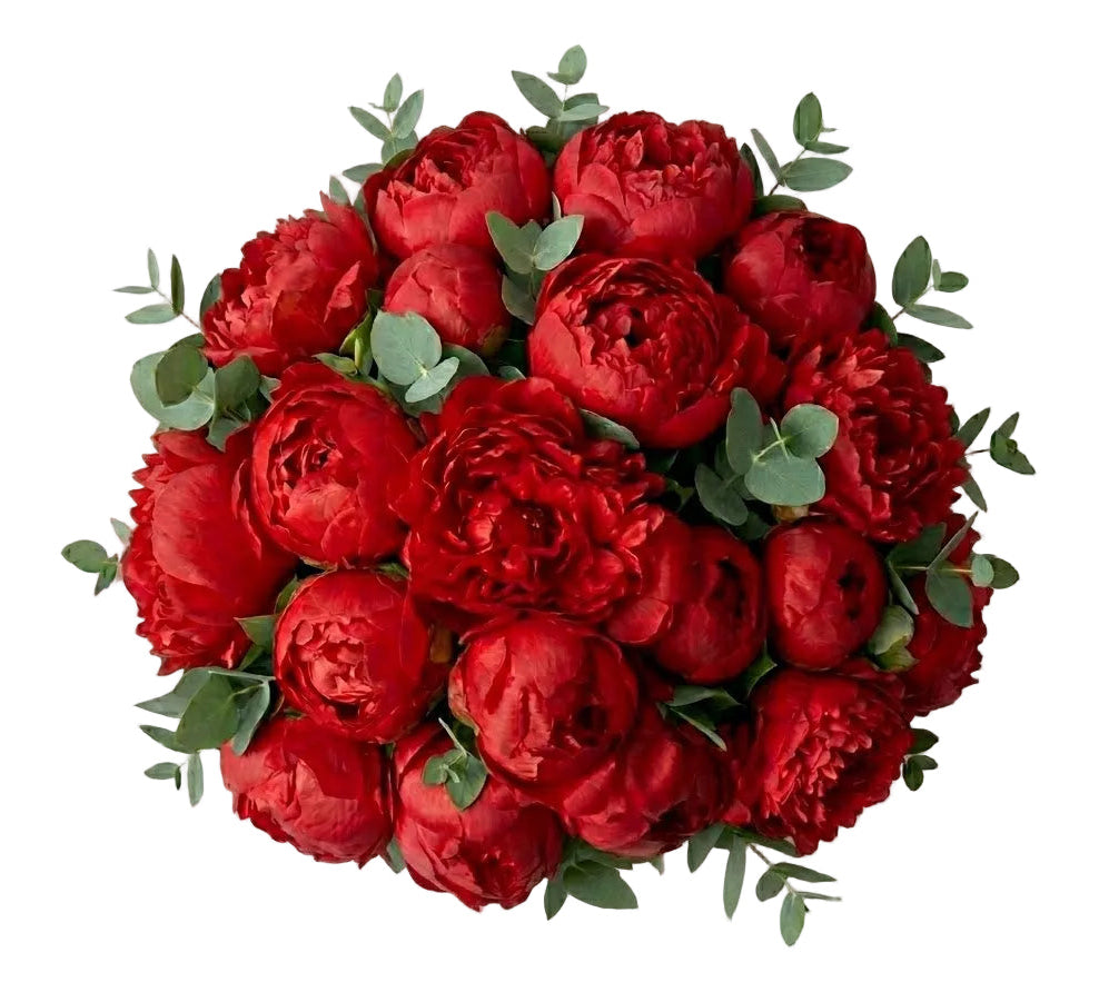 Premium Red Peonies Bouquet