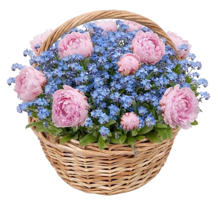 Pretty Basket of Peonies and Blue Forget Me Not