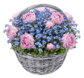Pretty Basket of Peonies and Blue Forget Me Not