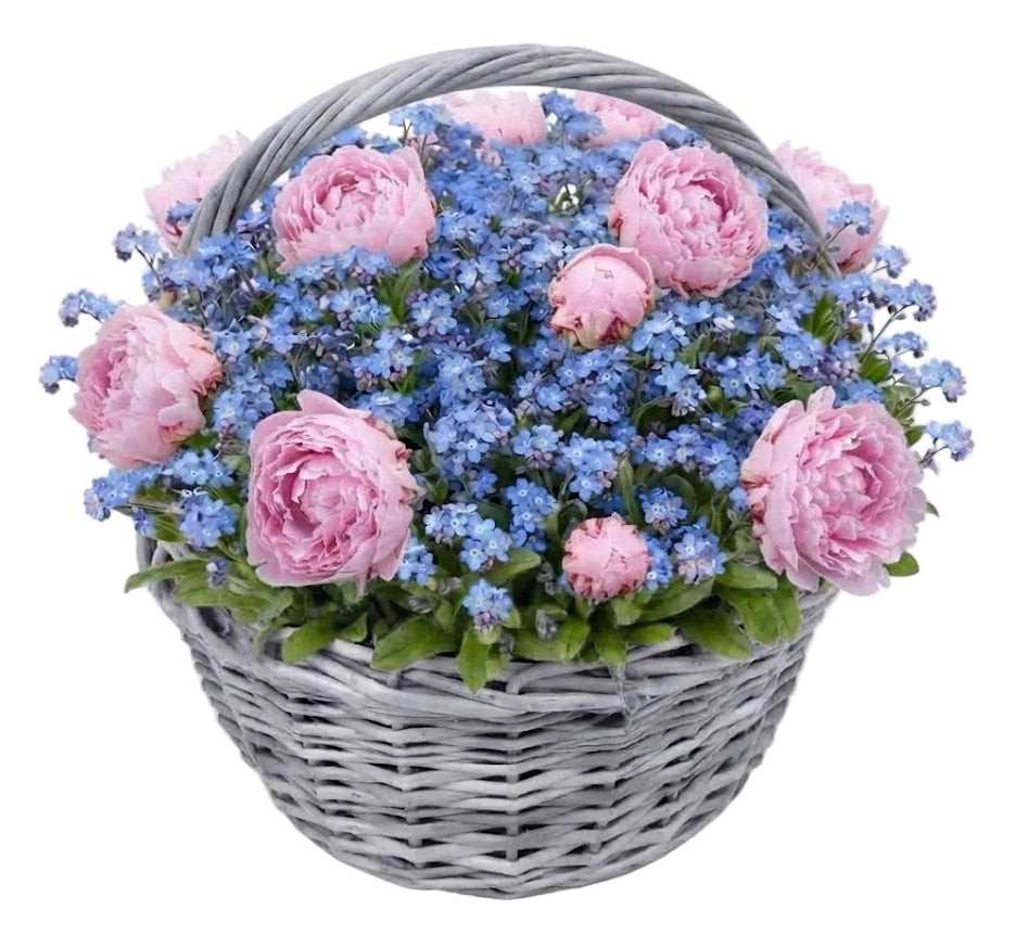 Pretty Basket of Peonies and Blue Forget Me Not