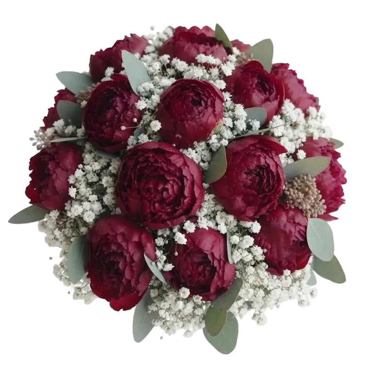 Refined Bouquet of Peonies with Gypsophila