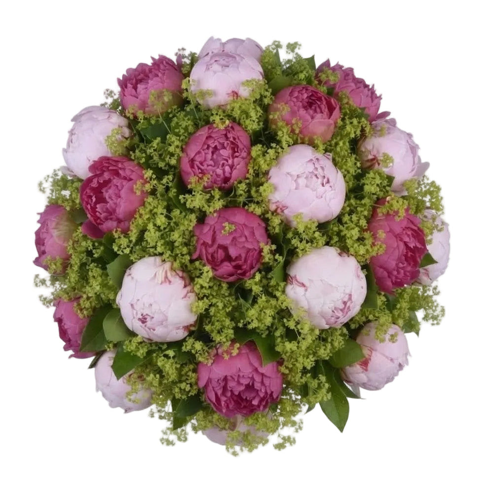 The Pink & Cerise Peony with Alchemilla Bouquet