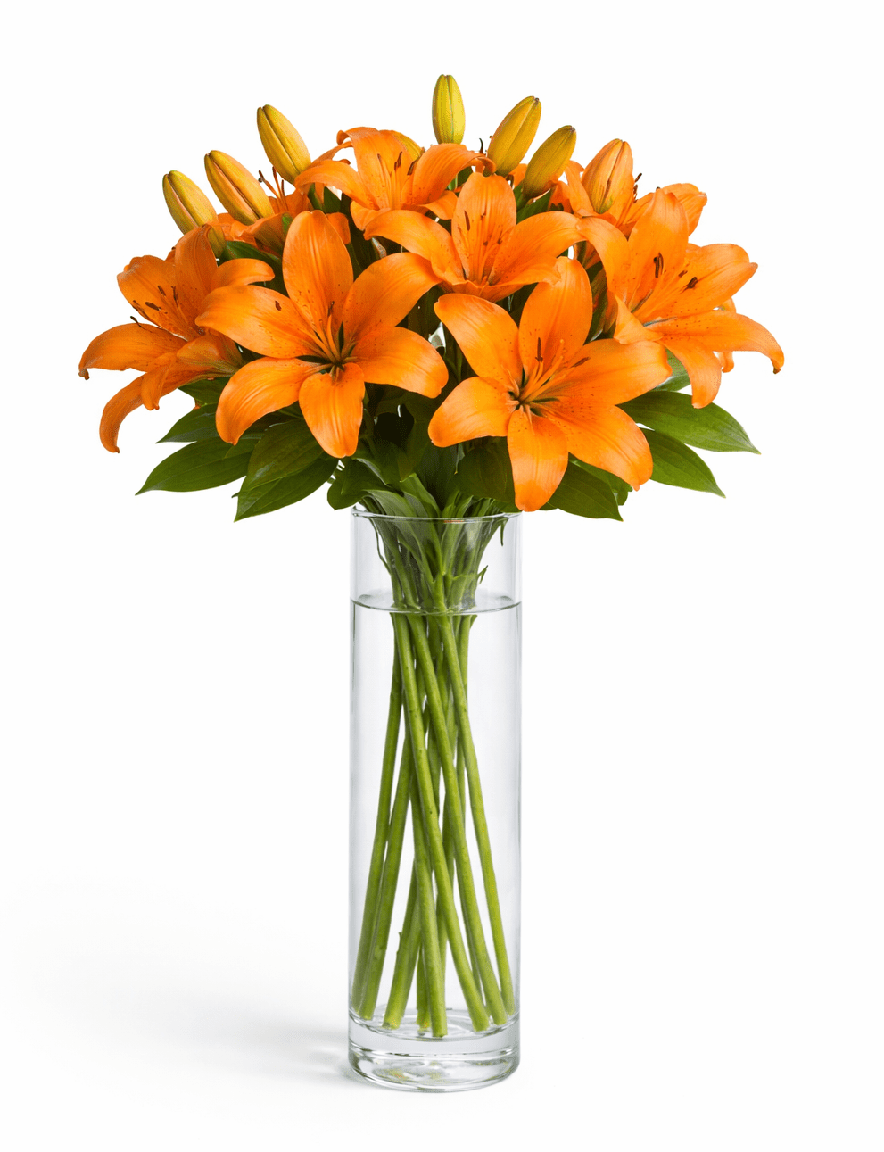 Asiatic Orange Lily in a Vase - Fresh Bouquet Co.