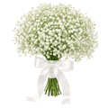 Baby Breath’s Bridal Wedding Bouquet - Fresh Bouquet Co.