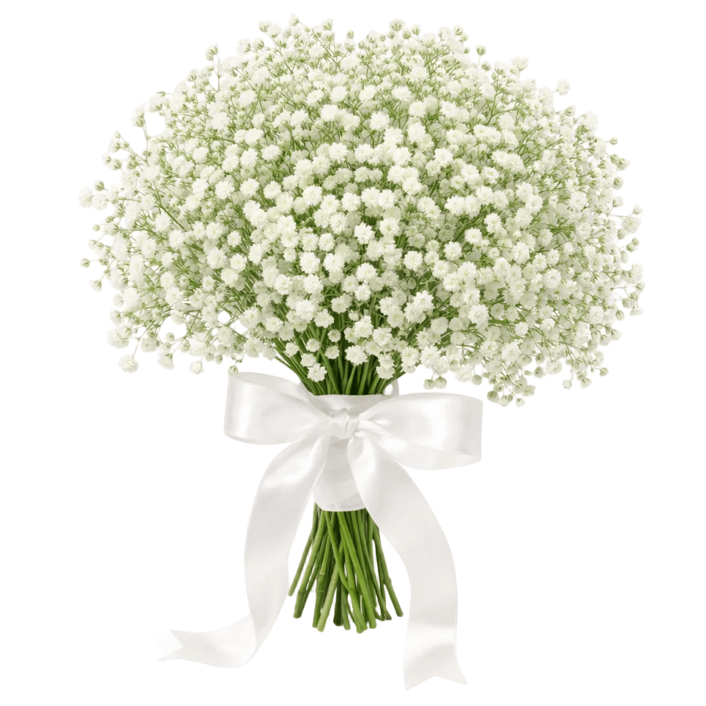 Baby Breath’s Bridal Wedding Bouquet - Fresh Bouquet Co.
