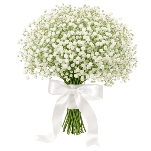 Baby Breath’s Bridal Wedding Bouquet - Fresh Bouquet Co.