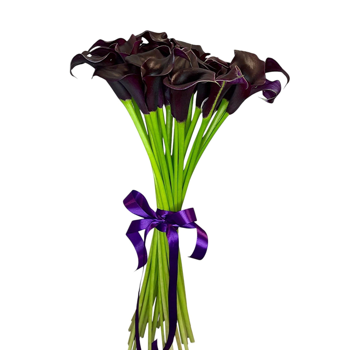Black Calla Lily Bouquet - Fresh Bouquet Co.