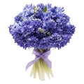Blue Hyacinth Bouquet - Fresh Bouquet Co.