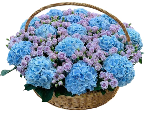 Blue Hydrangea & Lavender Spray Roses in Basket - Fresh Bouquet Co.