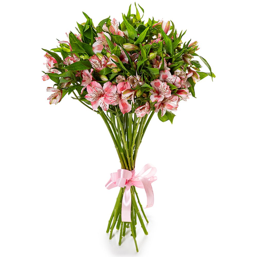 Blush Pink Alstroemeria Bouquet - Fresh Bouquet Co.