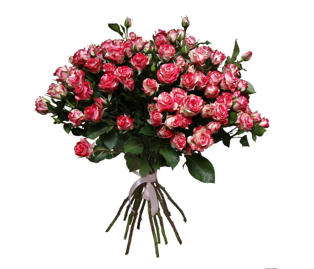 Blush Red Spray Roses Bouquet - Fresh Bouquet Co.