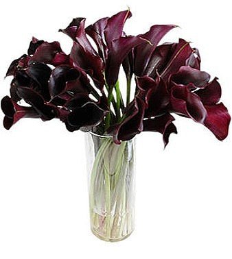 Burgundy Calla Lily Bouquet in Vase - Fresh Bouquet Co.