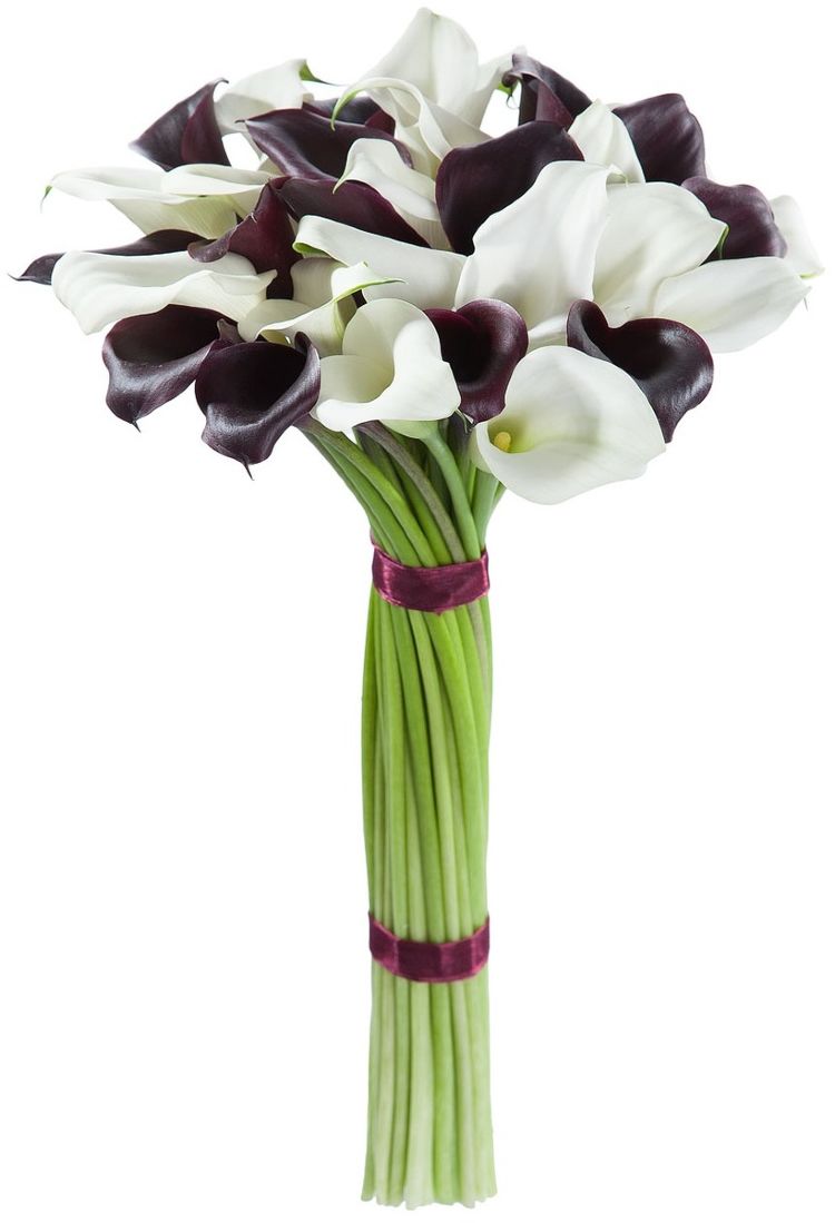 Burgundy & White Calla Lily Bouquet - Fresh Bouquet Co.