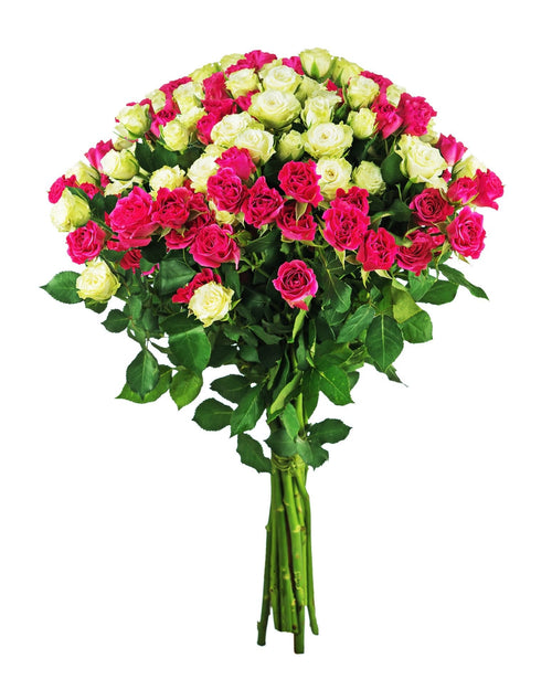 Cerise & White Spray Roses Bouquet - Fresh Bouquet Co.