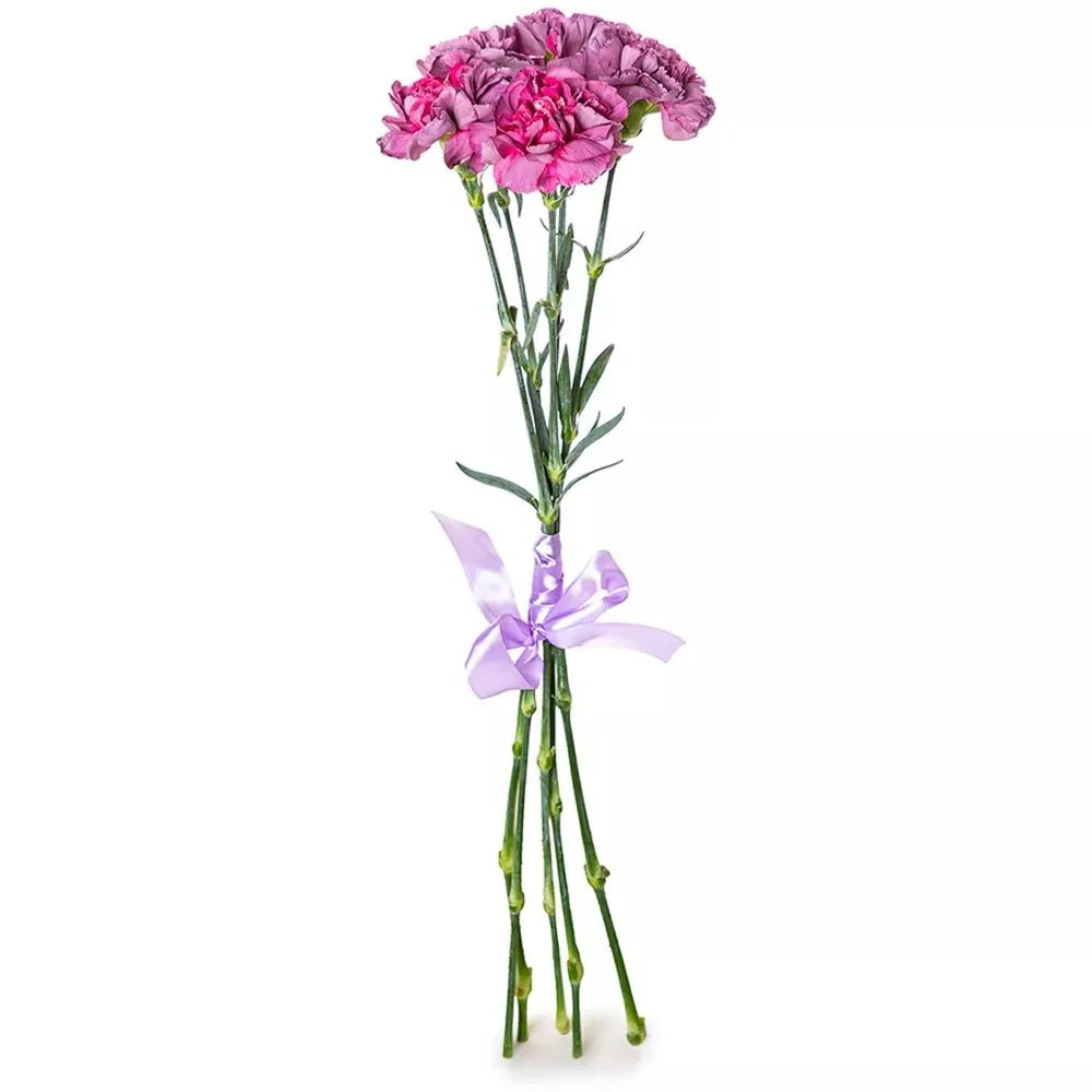 Cherry Carnation Flowers - Fresh Bouquet Co.