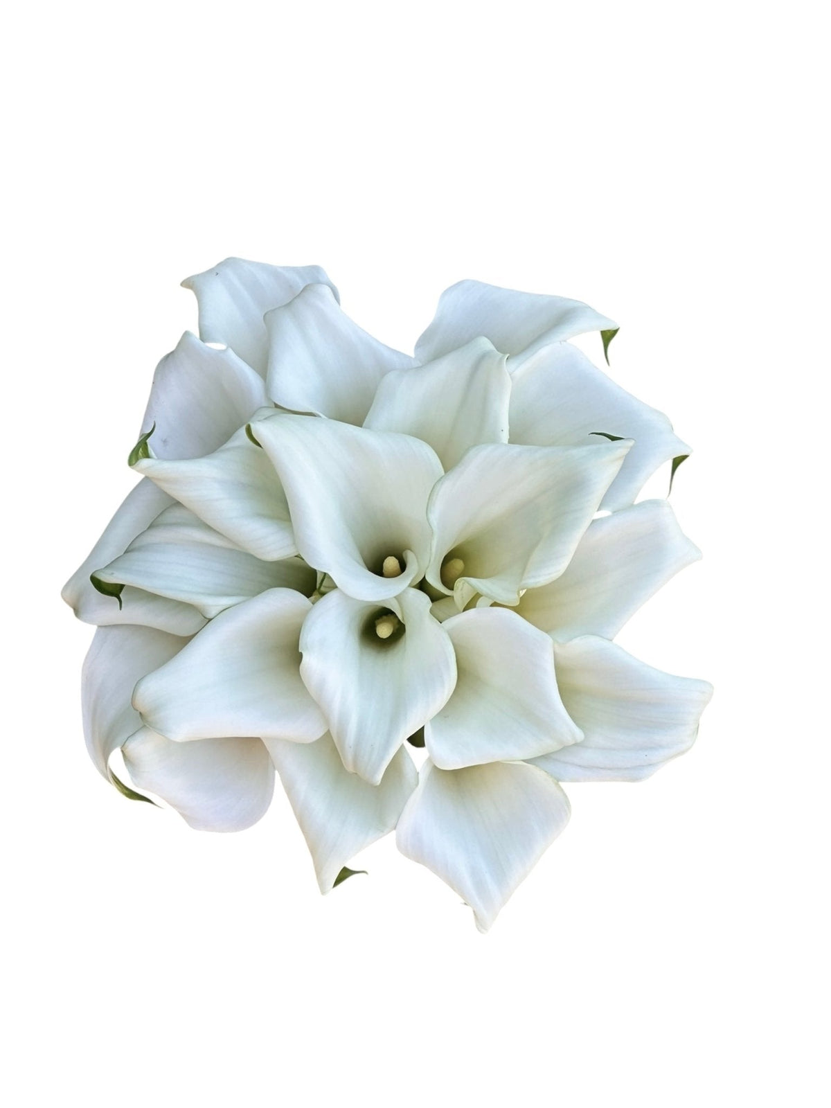 Classic Calla Lily Bridal Wedding Bouquet - Fresh Bouquet Co.