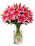 Classic Dark Pink Lily Bouquet in Vase - Fresh Bouquet Co.