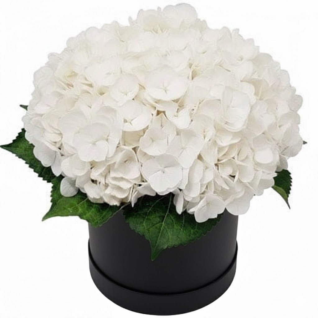 Classic Hydrangea Box - Fresh Bouquet Co.