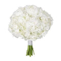 Classic Hydrangea Wedding Bridal Bouquet - Fresh Bouquet Co.