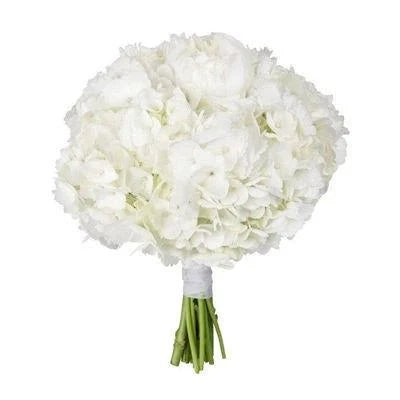 Classic Hydrangea Wedding Bridal Bouquet - Fresh Bouquet Co.
