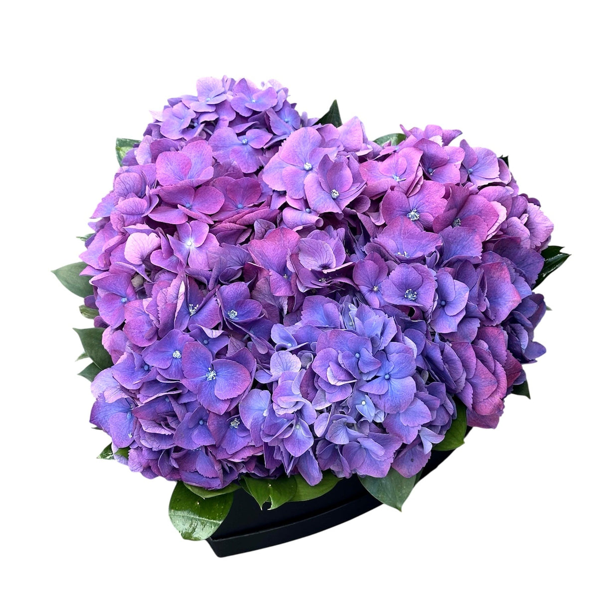 Classic Hydrangea with Ruscus Box - Fresh Bouquet Co.