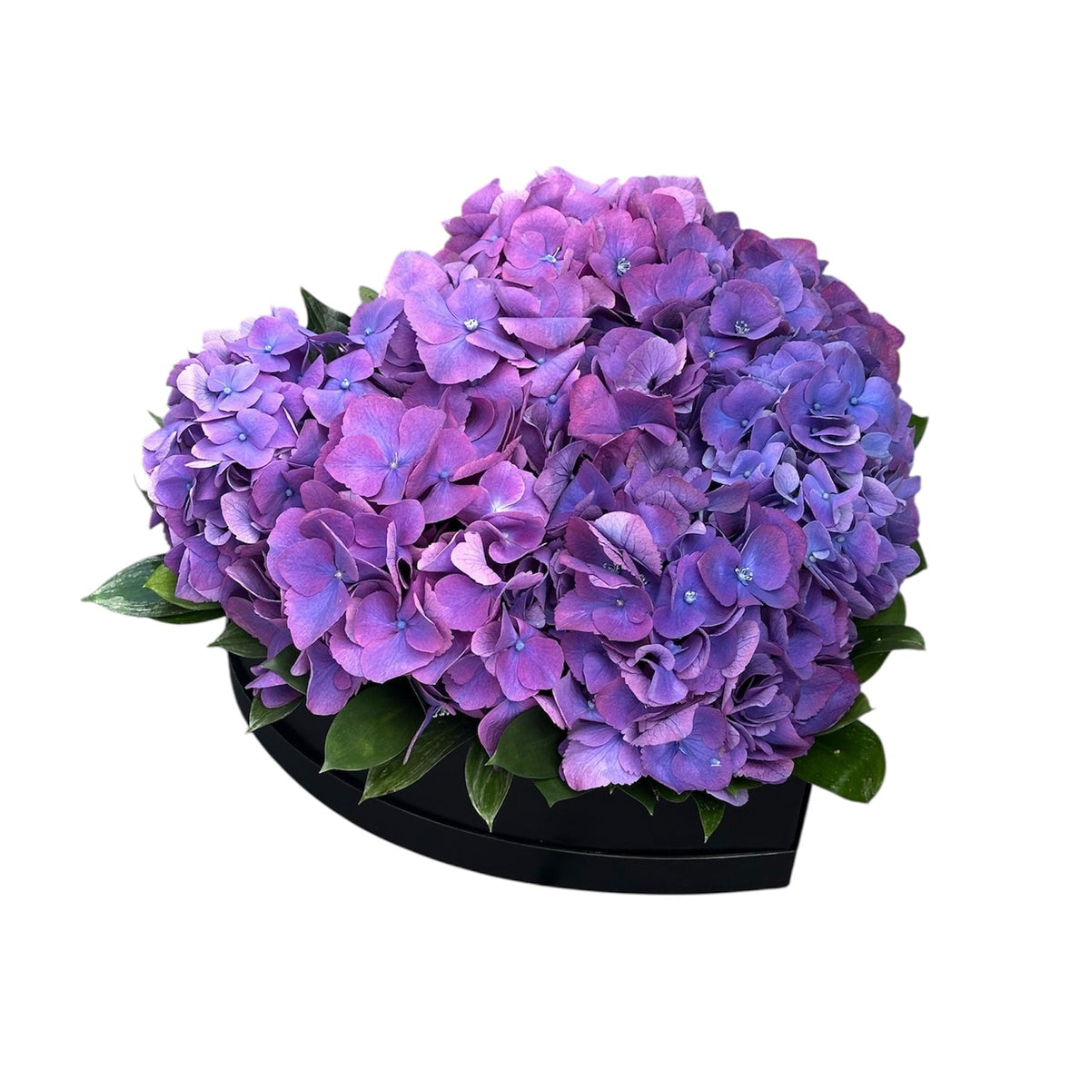 Classic Hydrangea with Ruscus Box - Fresh Bouquet Co.