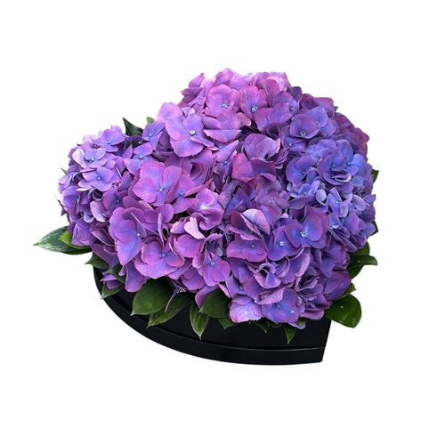 Classic Hydrangea with Ruscus Box - Fresh Bouquet Co.