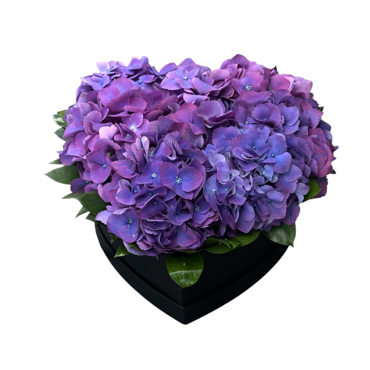 Classic Hydrangea with Ruscus Box - Fresh Bouquet Co.